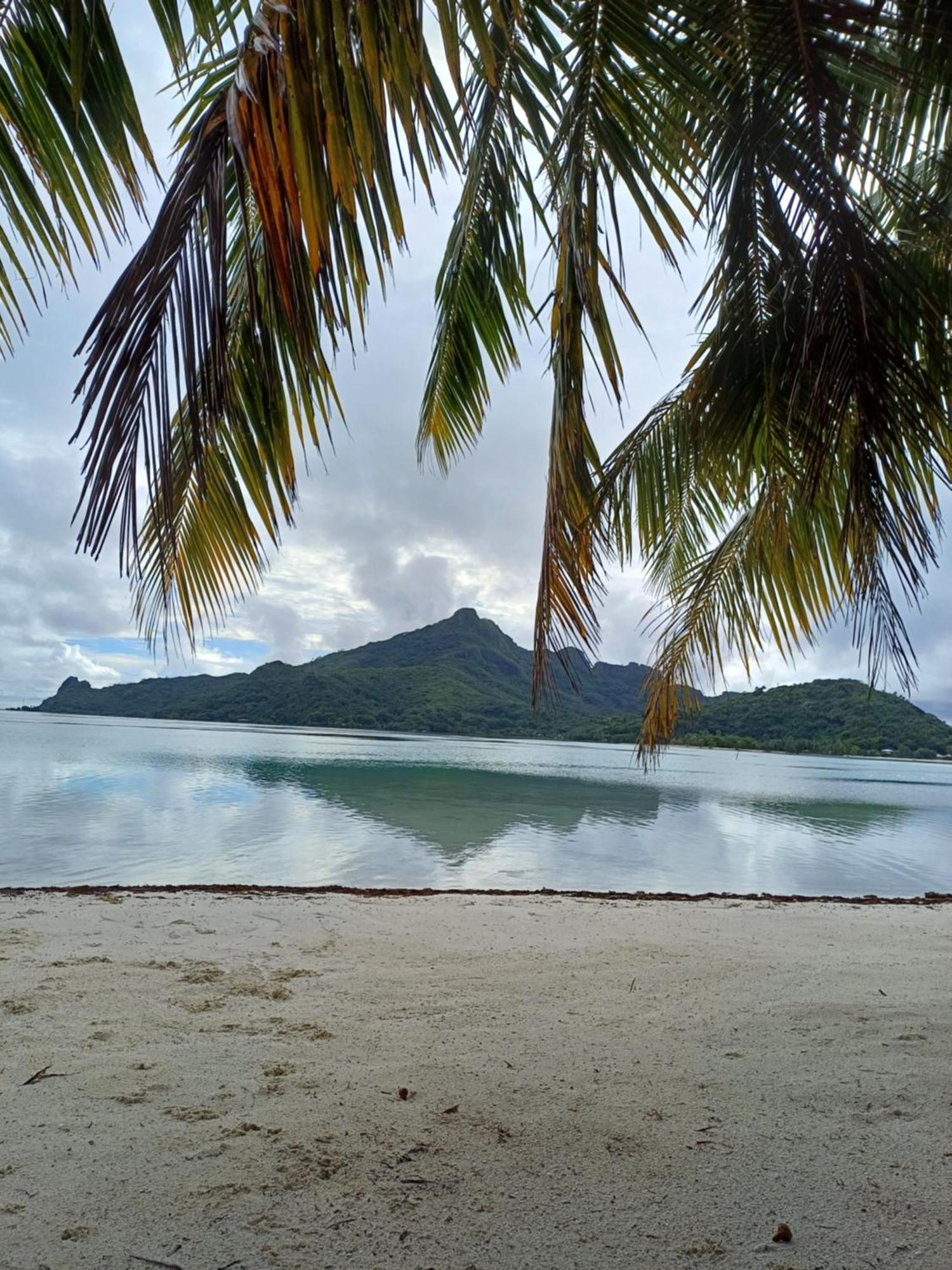 Poemanahere Island Camping A Maupiti Te-Fare-Arii Zewnętrze zdjęcie