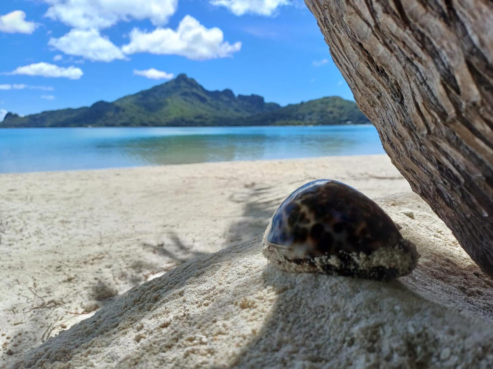 Poemanahere Island Camping A Maupiti Te-Fare-Arii Zewnętrze zdjęcie