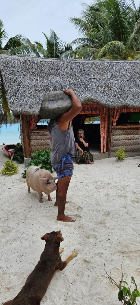 Poemanahere Island Camping A Maupiti Te-Fare-Arii Zewnętrze zdjęcie