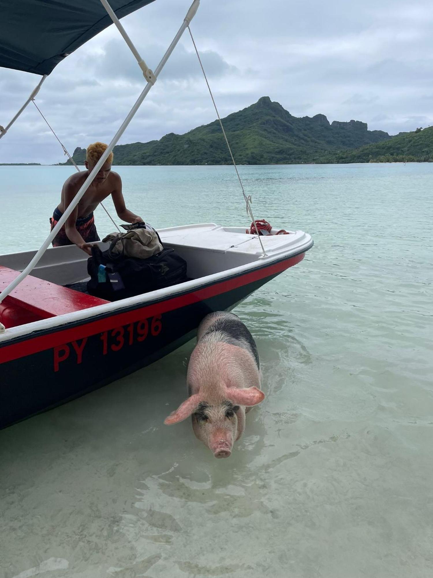 Poemanahere Island Camping A Maupiti Te-Fare-Arii Zewnętrze zdjęcie